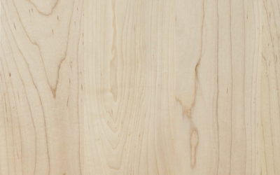 Stain Grade Soft Maple